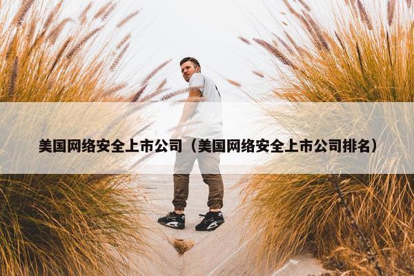 美国网络安全上市公司（美国网络安全上市公司排名）