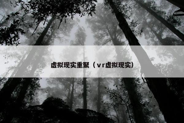 虚拟现实重聚（ⅴr虚拟现实）