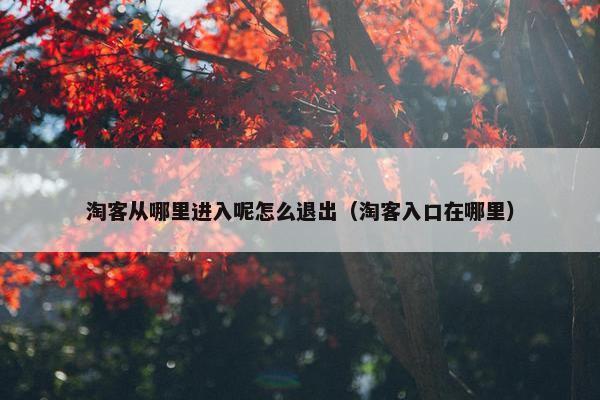 淘客从哪里进入呢怎么退出（淘客入口在哪里）