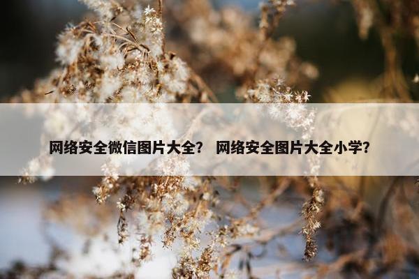 网络安全微信图片大全？ 网络安全图片大全小学？