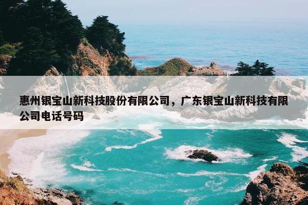 惠州银宝山新科技股份有限公司，广东银宝山新科技有限公司电话号码