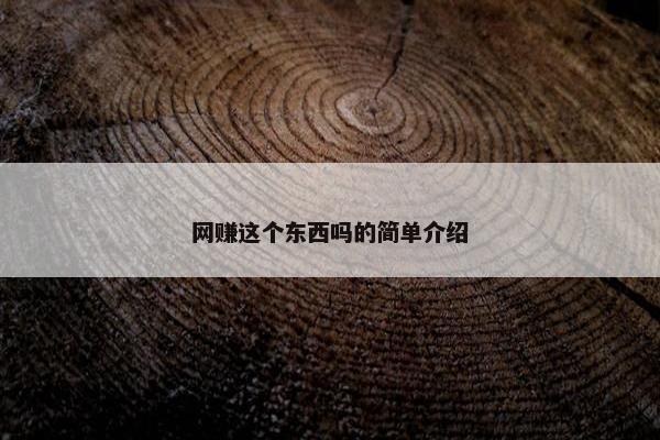 网赚这个东西吗的简单介绍