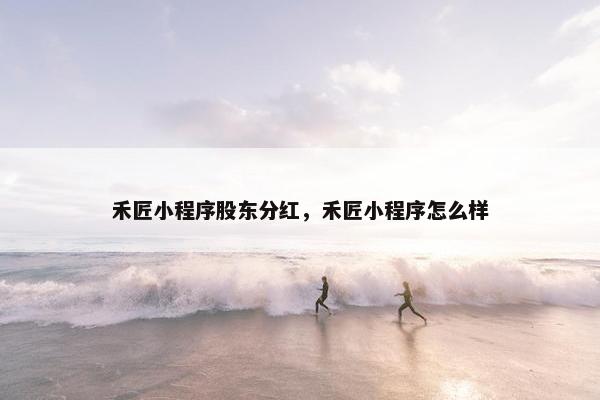 禾匠小程序股东分红，禾匠小程序怎么样