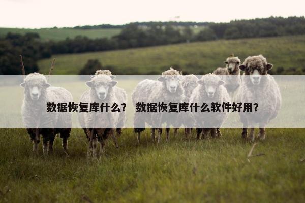 数据恢复库什么？ 数据恢复库什么软件好用？