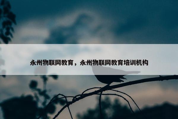 永州物联网教育，永州物联网教育培训机构