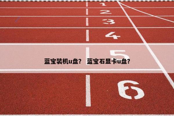 蓝宝装机u盘？ 蓝宝石显卡u盘？