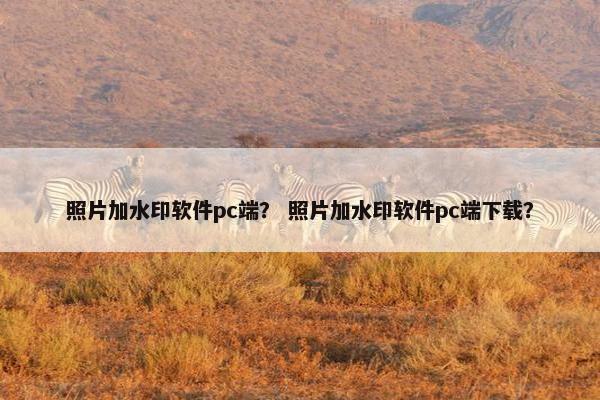 照片加水印软件pc端？ 照片加水印软件pc端下载？