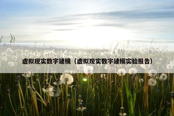 虚拟现实数字建模（虚拟现实数字建模实验报告）