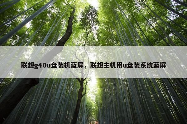 联想g40u盘装机蓝屏，联想主机用u盘装系统蓝屏
