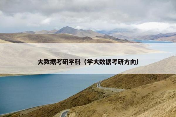 大数据考研学科（学大数据考研方向）