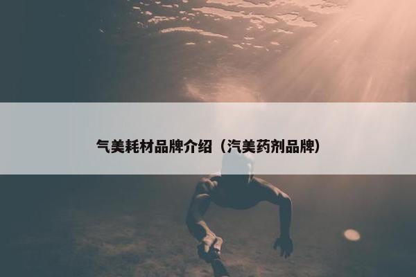 气美耗材品牌介绍（汽美药剂品牌）