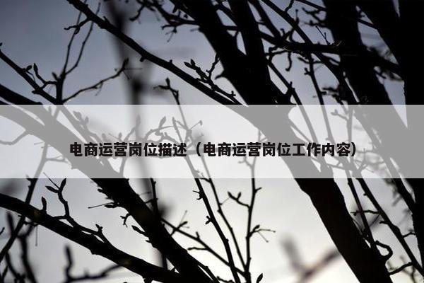 电商运营岗位描述（电商运营岗位工作内容）