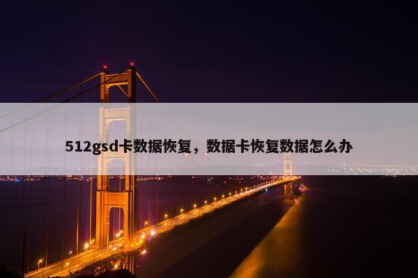 512gsd卡数据恢复，数据卡恢复数据怎么办