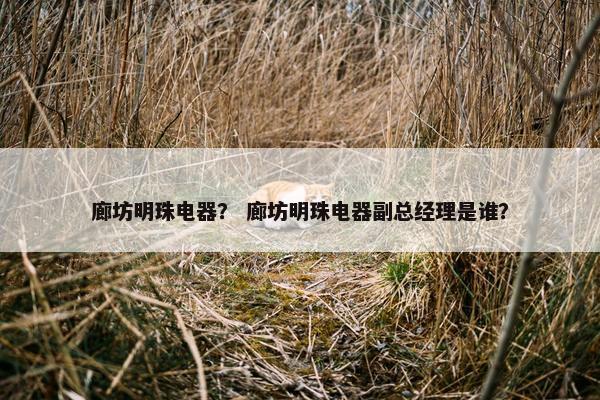 廊坊明珠电器？ 廊坊明珠电器副总经理是谁？