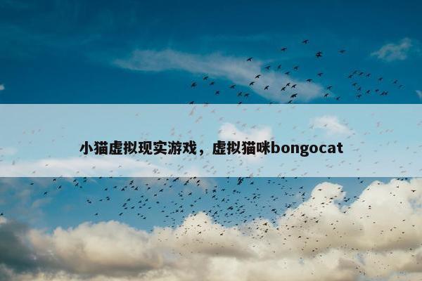 小猫虚拟现实游戏，虚拟猫咪bongocat