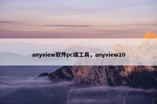 anyview软件pc端工具，anyview20