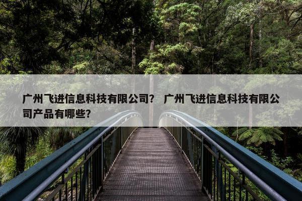 广州飞进信息科技有限公司？ 广州飞进信息科技有限公司产品有哪些？