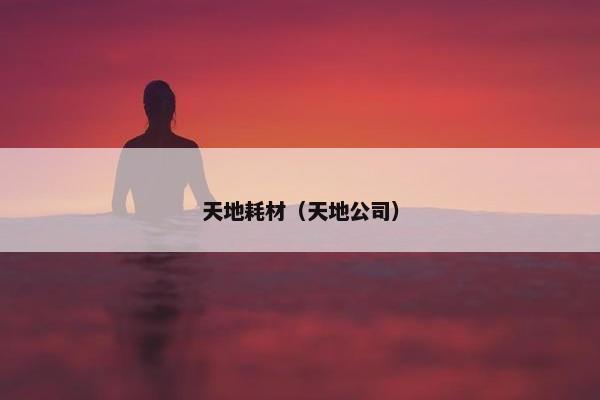 天地耗材（天地公司）