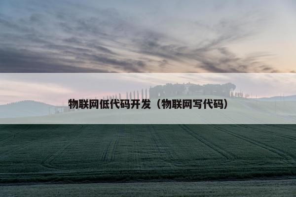物联网低代码开发（物联网写代码）
