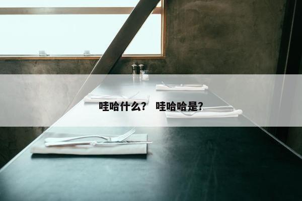 哇哈什么？ 哇哈哈是？