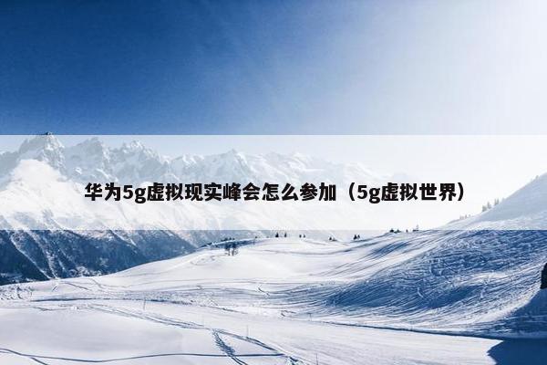 华为5g虚拟现实峰会怎么参加（5g虚拟世界）