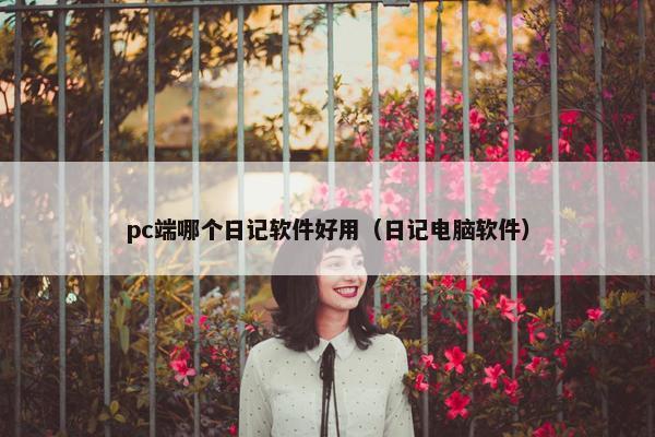 pc端哪个日记软件好用（日记电脑软件）