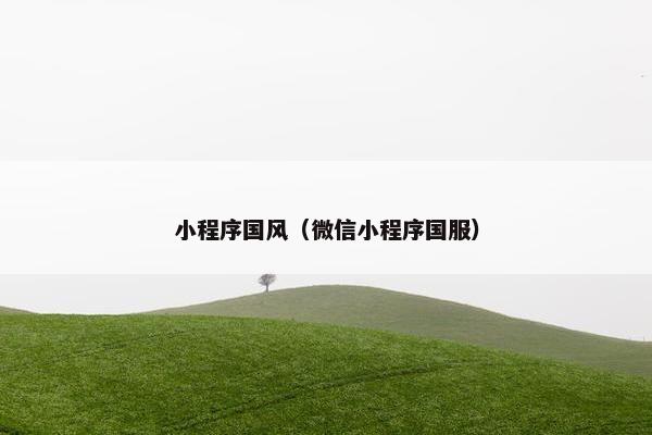 小程序国风（微信小程序国服）