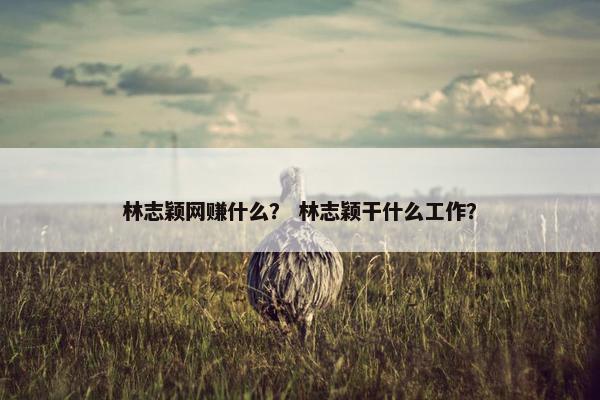 林志颖网赚什么？ 林志颖干什么工作？
