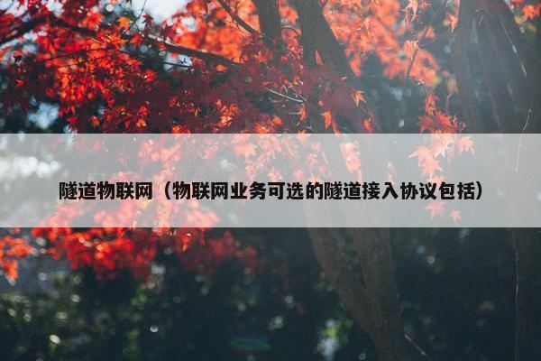 隧道物联网（物联网业务可选的隧道接入协议包括）