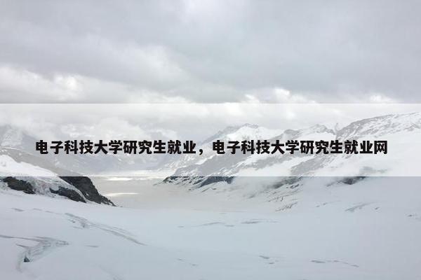 电子科技大学研究生就业，电子科技大学研究生就业网