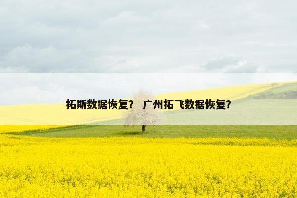 拓斯数据恢复？ 广州拓飞数据恢复？