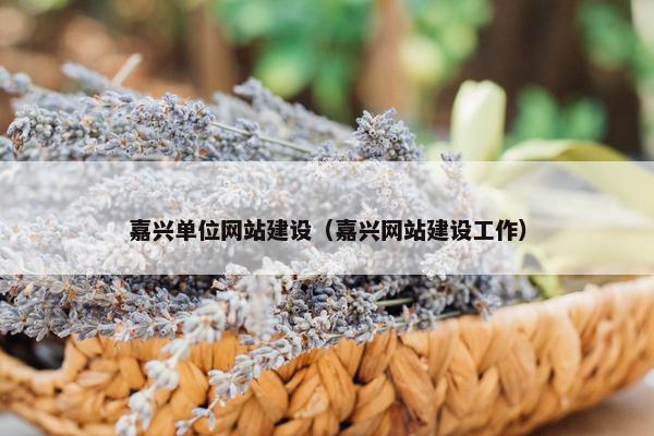 嘉兴单位网站建设（嘉兴网站建设工作）