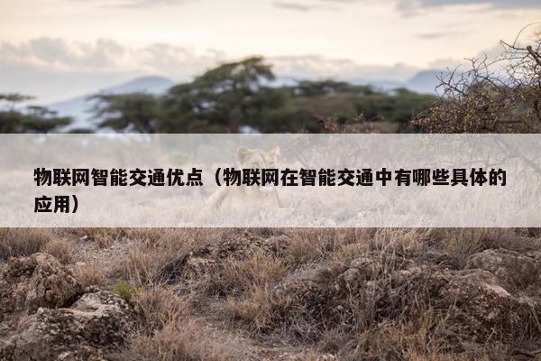 物联网智能交通优点（物联网在智能交通中有哪些具体的应用）