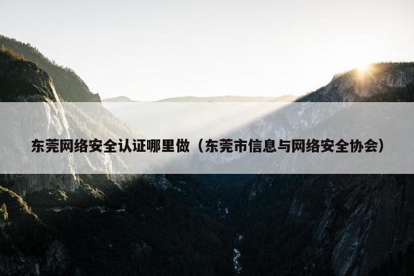 东莞网络安全认证哪里做（东莞市信息与网络安全协会）