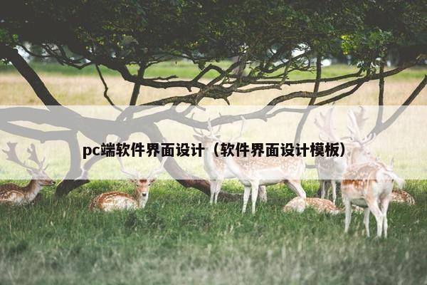 pc端软件界面设计（软件界面设计模板）