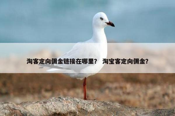 淘客定向佣金链接在哪里？ 淘宝客定向佣金？