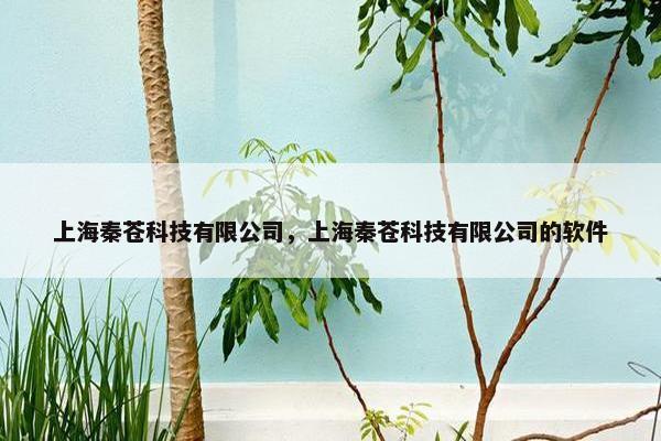 上海秦苍科技有限公司，上海秦苍科技有限公司的软件