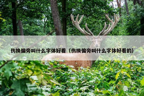 伤换偏旁叫什么字体好看（伤换偏旁叫什么字体好看的）