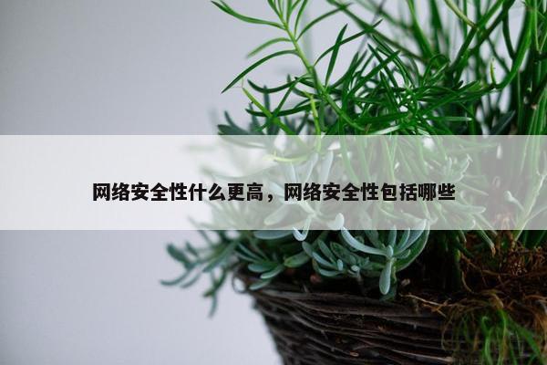 网络安全性什么更高，网络安全性包括哪些