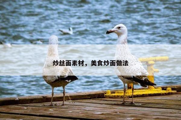 炒丝面素材，美食炒面做法