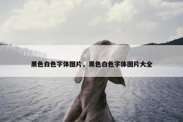 黑色白色字体图片，黑色白色字体图片大全