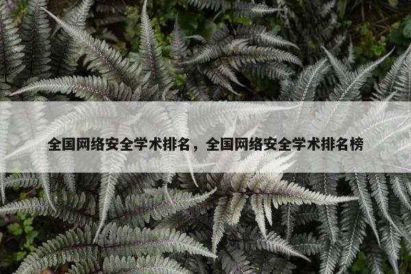 全国网络安全学术排名，全国网络安全学术排名榜