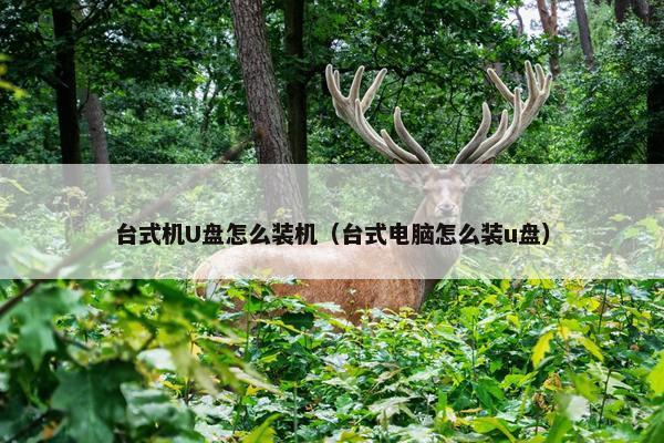 台式机U盘怎么装机（台式电脑怎么装u盘）