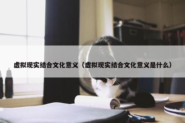 虚拟现实结合文化意义（虚拟现实结合文化意义是什么）