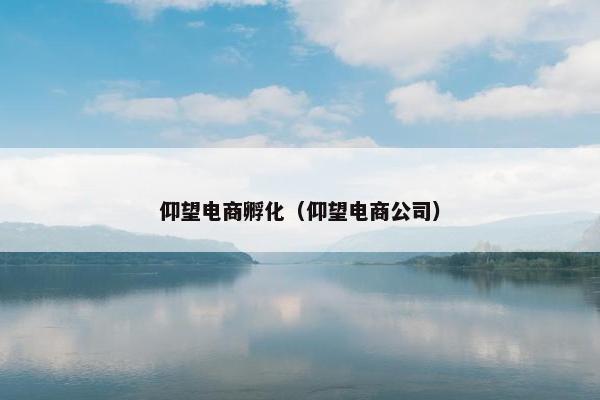 仰望电商孵化（仰望电商公司）