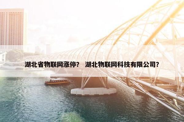 湖北省物联网涨停？ 湖北物联网科技有限公司？