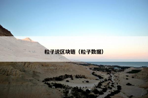粒子说区块链（粒子数据）