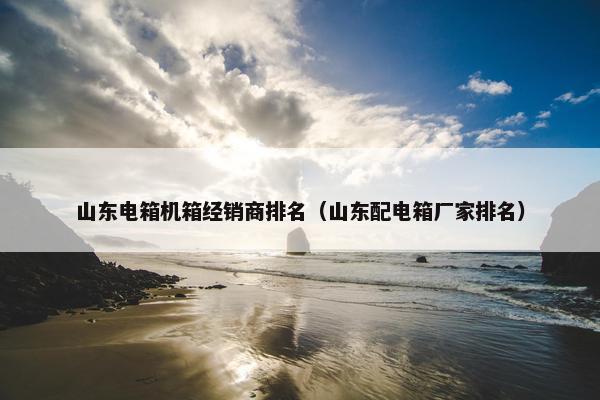 山东电箱机箱经销商排名（山东配电箱厂家排名）