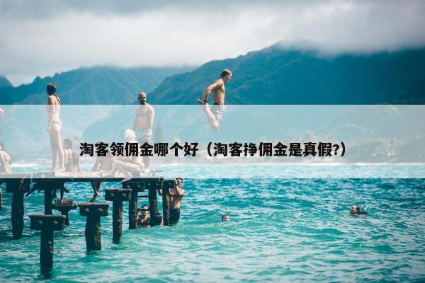 淘客领佣金哪个好（淘客挣佣金是真假?）