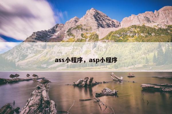 ass小程序，asp小程序